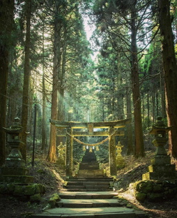 Интересности