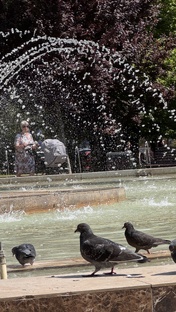 Краснодар и переезд