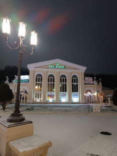 Дневниковые записи. 