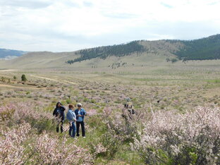 Открытый Межрайонный Фестиваль народного творчества МиндалеЦвет2024