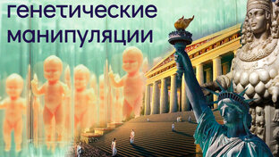 ✔ Капустная история