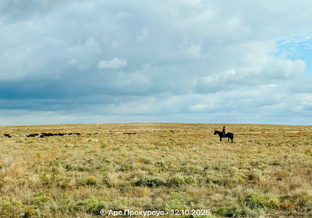 «Где Волга прянула стрелою…»