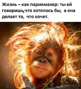 Просто про женскую жизнь