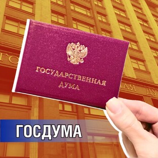Работа в Госдуме 