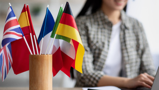 Иностранные языки