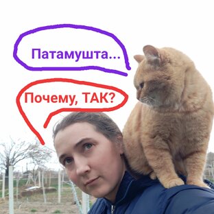 Почему, Так?