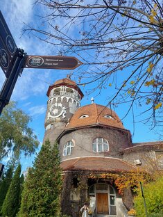 Светлогорск