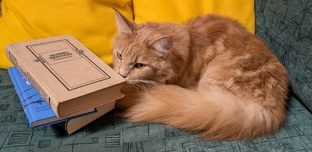 Мои книжные очарования