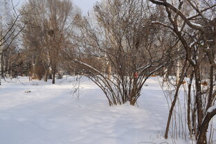 Разное