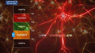 Фармацевтические и медицинские ролики