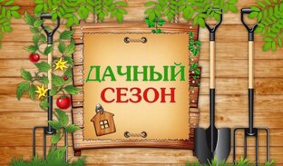 сад и огород