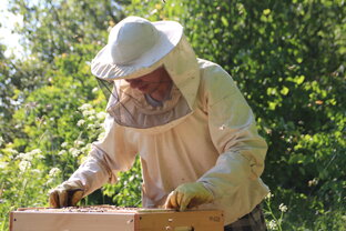 Пчеловодство