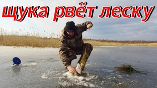 Весенняя рыбалка 2025