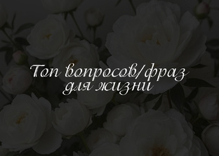 Вопросы/фразы для жизни
