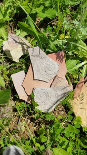 Палеонтология 