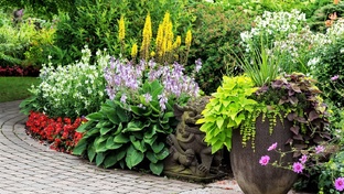 Ландшафтный дизайн