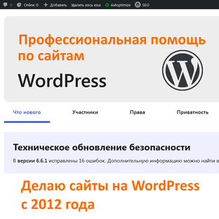 Индивидуальные инструкции по работе с сайтом на WordPress