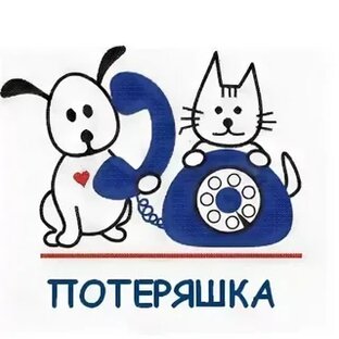 Потеряшки и найденыши.