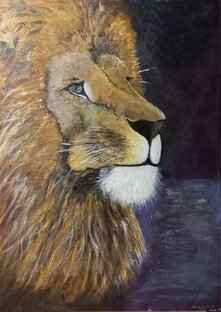 Коты и все кошачьи