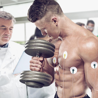 Наука о телостроительстве 