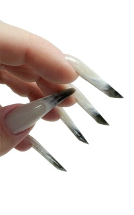 Моделирование на Верхние Формы