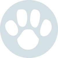 Календарь питомца