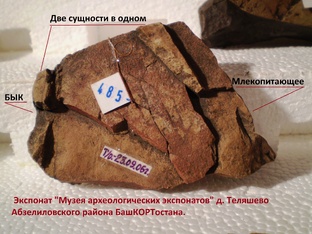 СОЗвездия по представлениям башКОРТов
