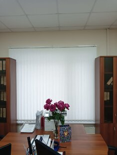 Вертикальные тканевые жалюзи 