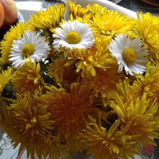 Жизнь в деревне 