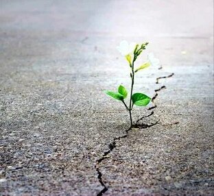 Все о депрессии