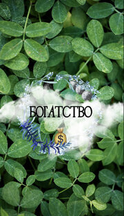 Богатство 💰