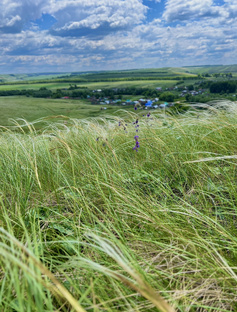 Деревенская жизнь