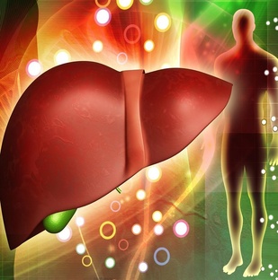 Здоровье нашей печени.