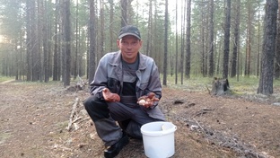 Походы в лес