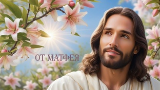 ОТ МАТФЕЯ