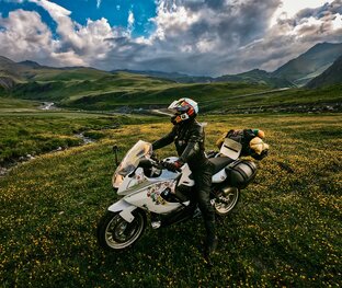 Зов Севера (фильм)