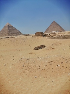 Под солнцем Африки