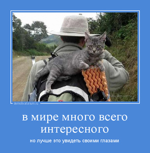 В Мире Много Всего Интересного. 