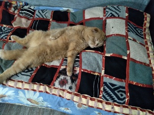 ляпочиха и прочее лоскутное