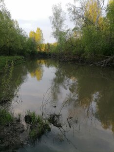 природа пекша