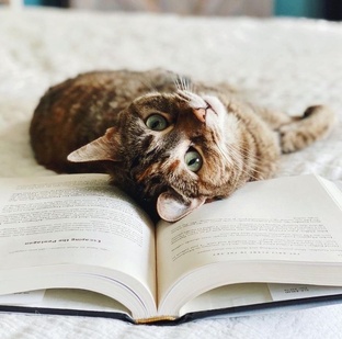 ✨ Хобби: ВИДЫ И ПОЛЬЗА