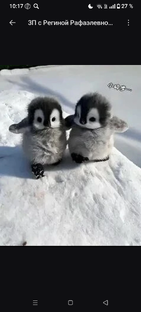 я и сама ❤️