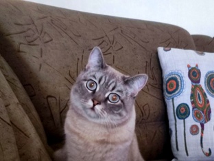 Минуты отдыха с Софьей Васильевой 😻
