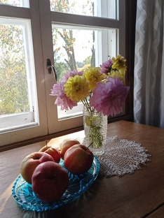 Заметки на память. Дневниковое