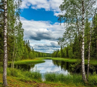 Моя природа. Погода за окном и в душе