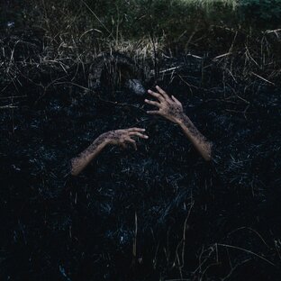 Современная книжная полка