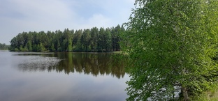 Тихонова падь(10.06.23)