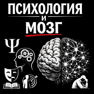 Психология и мозг — без воды