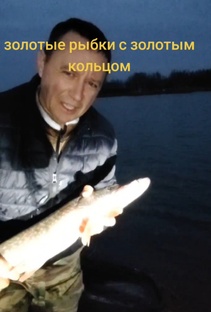 Золотые рыбки с золотым кольцом  с вознаграждение 10 тысяч рублейм 