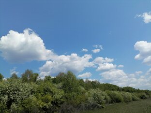 Партнёрские публикации